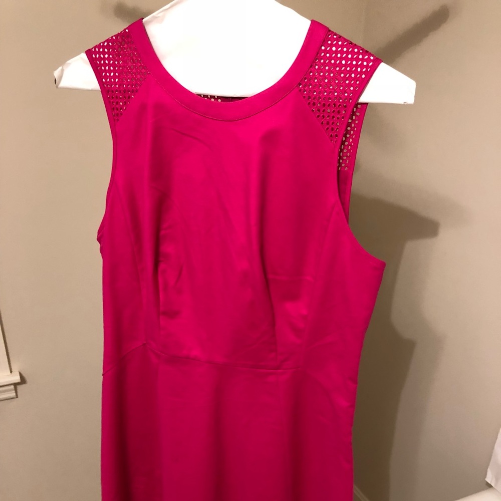 The Limited Women's Dress